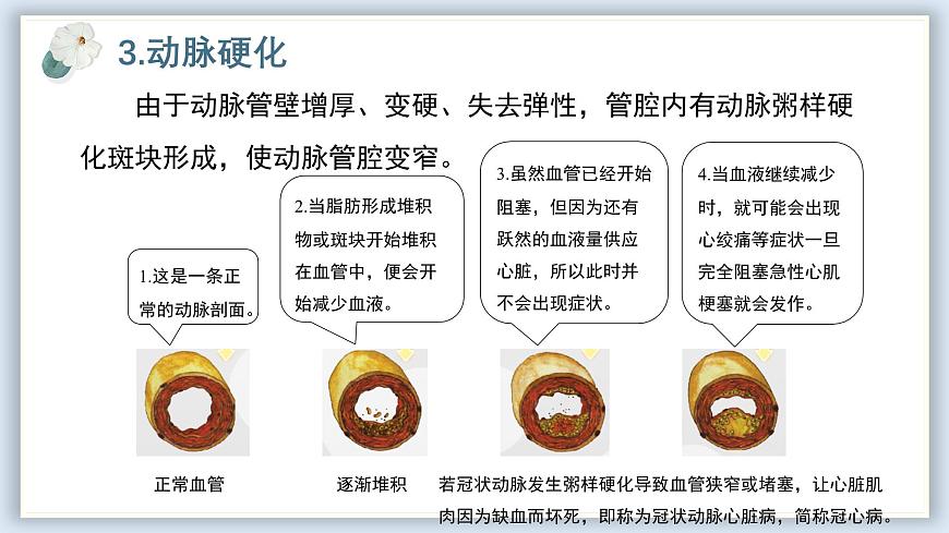 【核心素養(yǎng)目標(biāo)】冀少版初中生物七年級(jí)下冊(cè)《心臟和血管的保護(hù)》課件第8頁