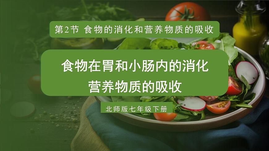 第2課時(shí) 食物在胃和小腸內(nèi)的消化 營(yíng)養(yǎng)物質(zhì)的吸收第1頁