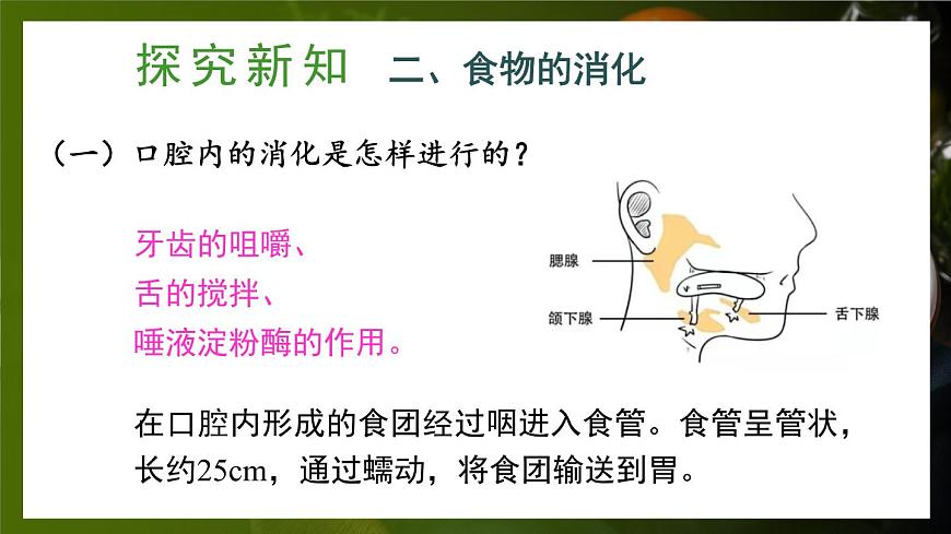 第2課時(shí) 食物在胃和小腸內(nèi)的消化 營(yíng)養(yǎng)物質(zhì)的吸收第4頁