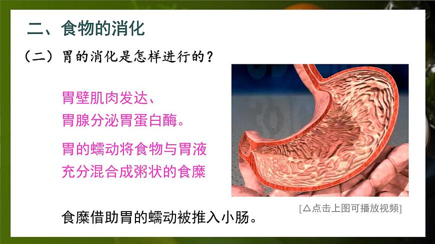 第2課時(shí) 食物在胃和小腸內(nèi)的消化 營(yíng)養(yǎng)物質(zhì)的吸收第6頁