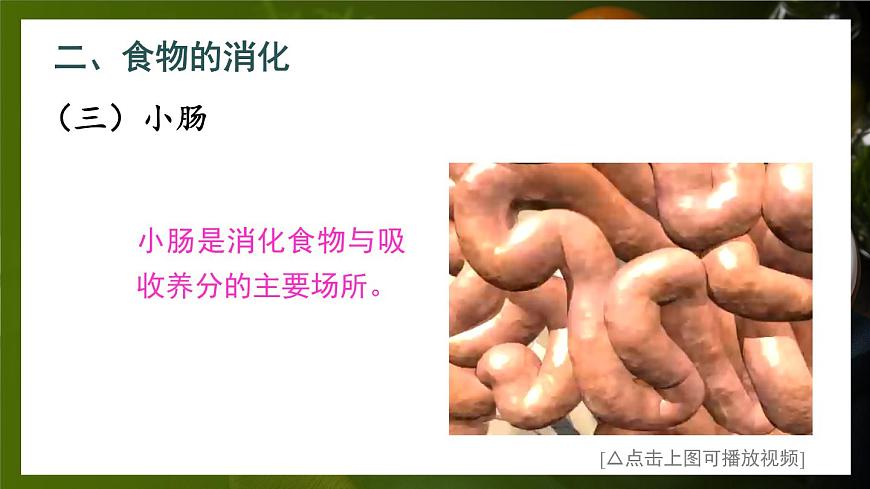 第2課時(shí) 食物在胃和小腸內(nèi)的消化 營(yíng)養(yǎng)物質(zhì)的吸收第7頁