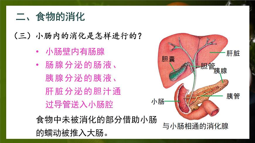 第2課時(shí) 食物在胃和小腸內(nèi)的消化 營(yíng)養(yǎng)物質(zhì)的吸收第8頁