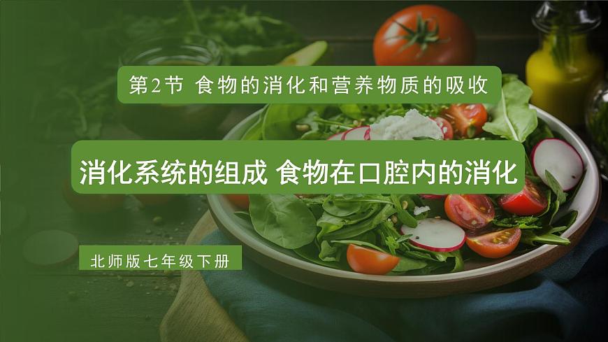 第1課時(shí) 消化系統(tǒng)的組成 食物在口腔內(nèi)的消化第1頁