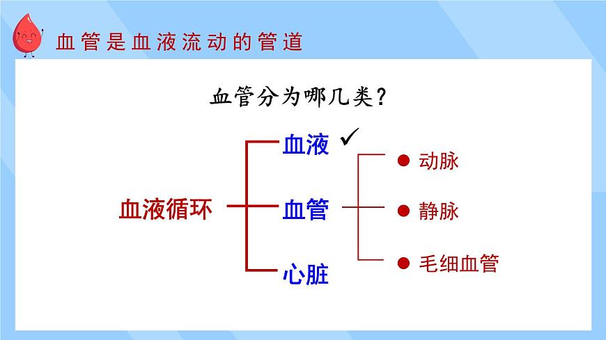 第1課時 血管和心臟第4頁