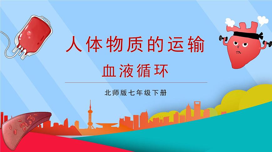 第2課時 血液循環(huán)第1頁