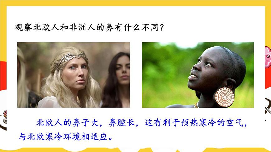 第1課時 呼吸系統(tǒng)的組成與功能 呼吸運動第5頁