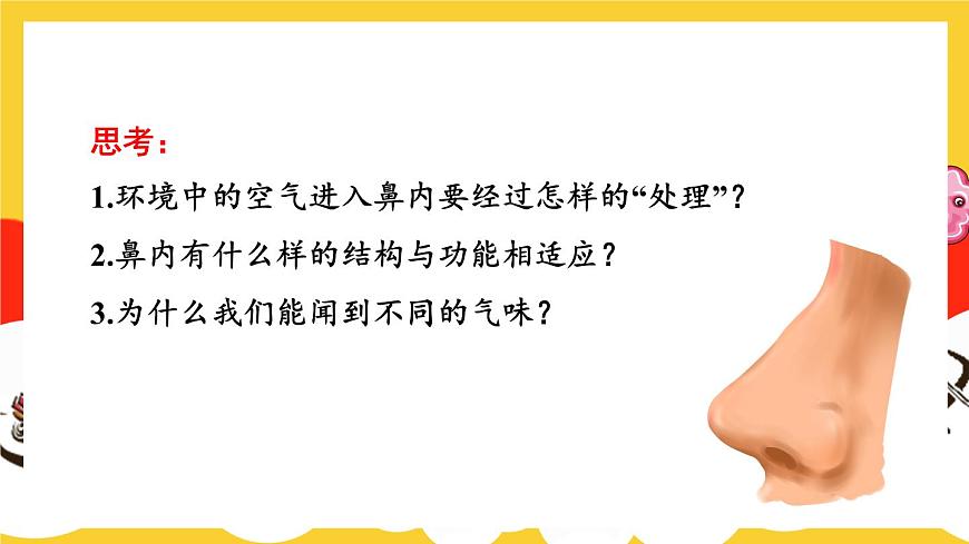 第1課時 呼吸系統(tǒng)的組成與功能 呼吸運動第6頁