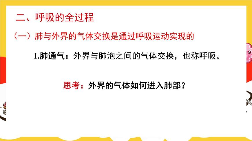 第2課時 人體內的氣體交換第3頁