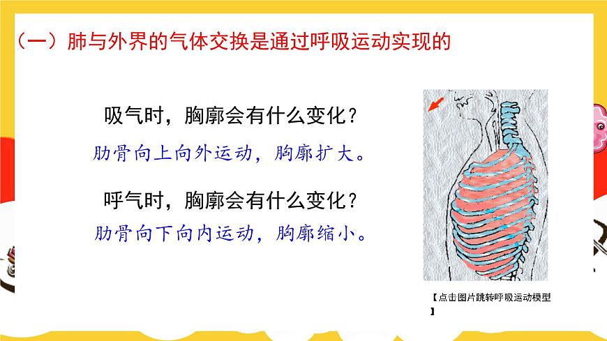 第2課時 人體內的氣體交換第6頁