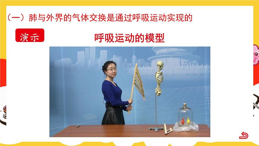 第2課時 人體內的氣體交換第8頁
