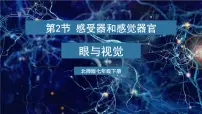 初中生物北师大版(2024)七年级下册(2024)第2节 感受器和感觉器官课文配套ppt课件