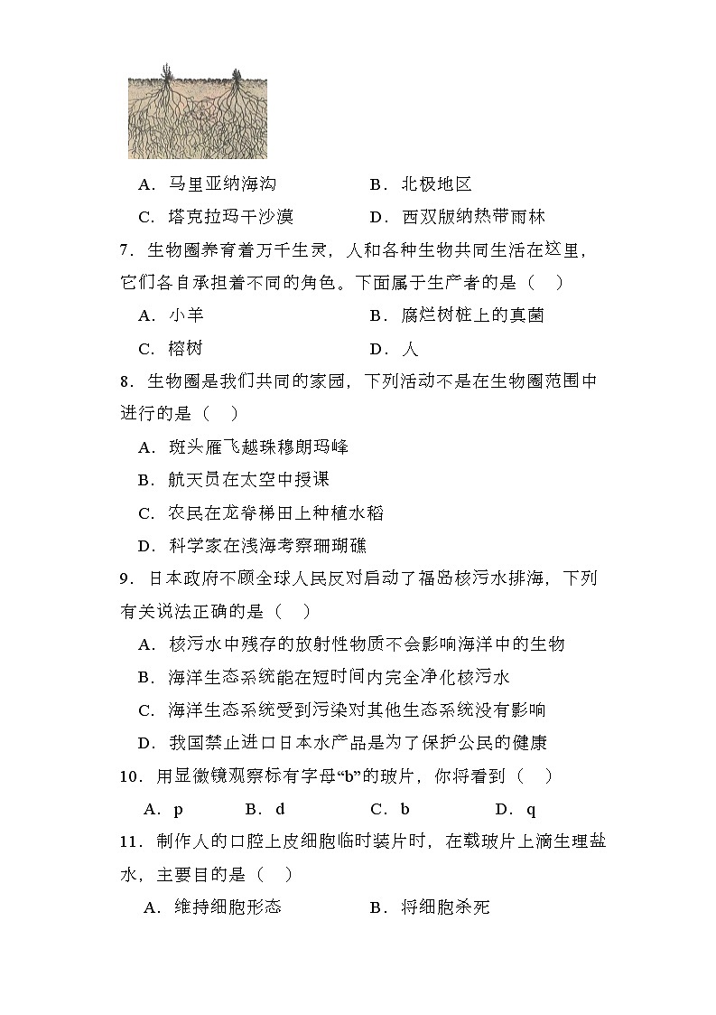 廣西桂林市2023-2024學(xué)年七年級(jí)上學(xué)期 生物期末試題（含解析）第2頁(yè)