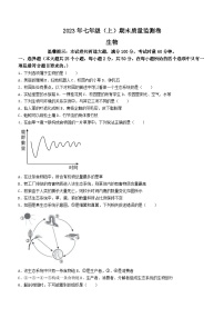湖南省邵阳市邵阳县2023-2024学年七年级上学期期末 生物试题