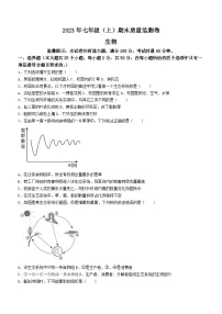湖南省邵阳市邵阳县2023-2024学年七年级上学期期末 生物试题