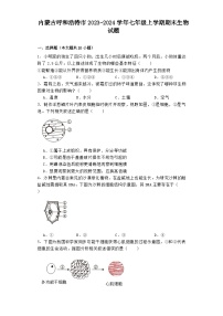 内蒙古呼和浩特市2023-2024学年七年级上学期期末 生物试题（含解析）