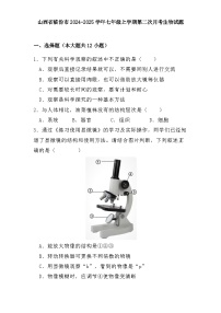 山西省临汾市2024-2025学年七年级上学期第二次月考 生物试题（含解析）