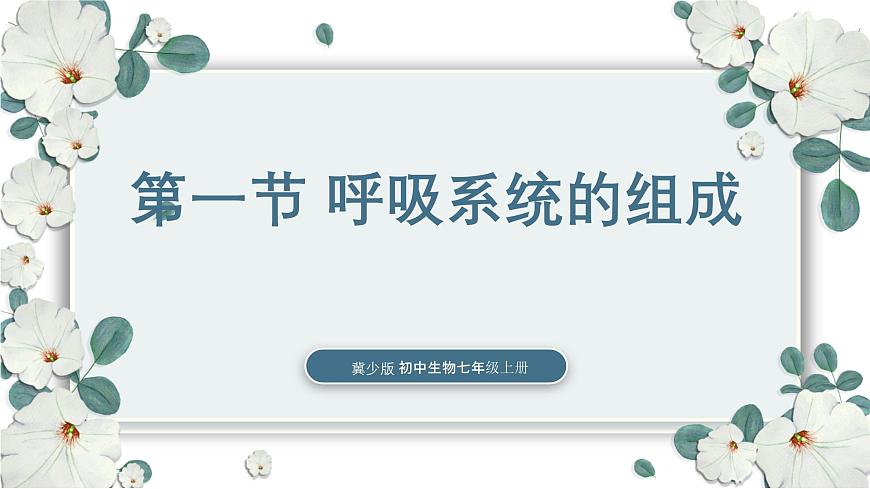 【核心素養(yǎng)目標(biāo)】冀少版初中生物七年級下冊《呼吸系統(tǒng)的組成》課件第1頁