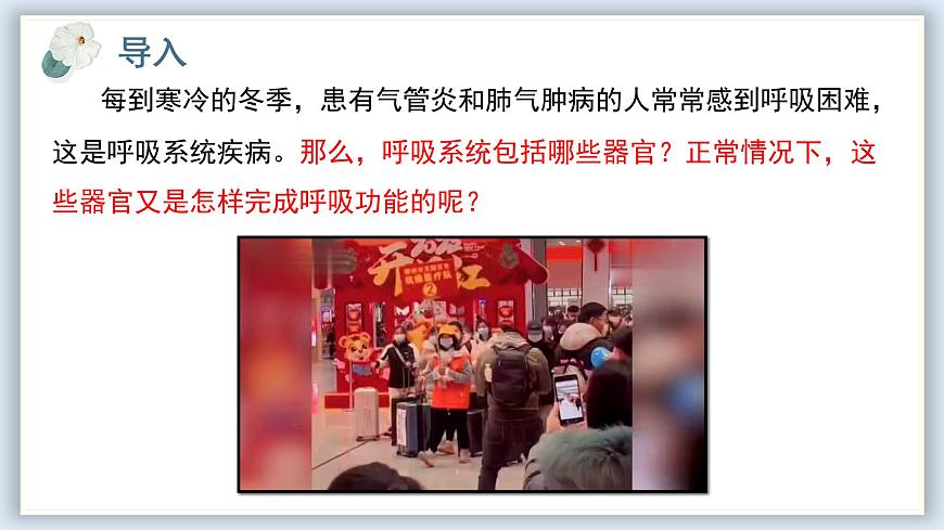 【核心素養(yǎng)目標(biāo)】冀少版初中生物七年級下冊《呼吸系統(tǒng)的組成》課件第2頁