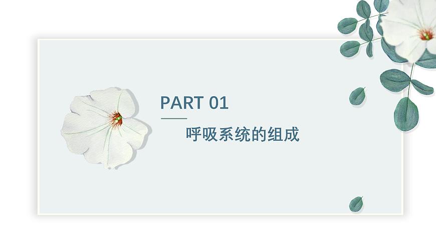 【核心素養(yǎng)目標(biāo)】冀少版初中生物七年級下冊《呼吸系統(tǒng)的組成》課件第4頁