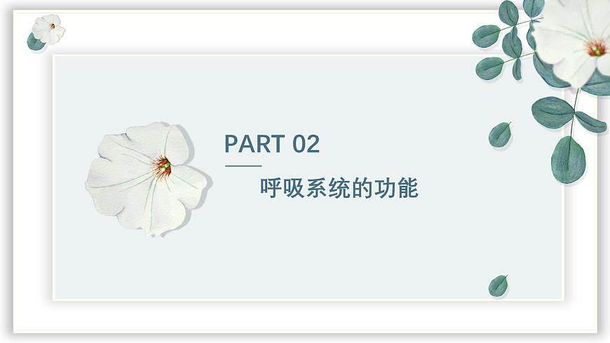 【核心素養(yǎng)目標(biāo)】冀少版初中生物七年級下冊《呼吸系統(tǒng)的組成》課件第8頁