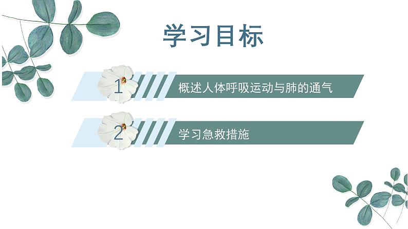 【核心素养目标】冀少版初中生物七年级下册《肺与外界的气体交换》课件第3页