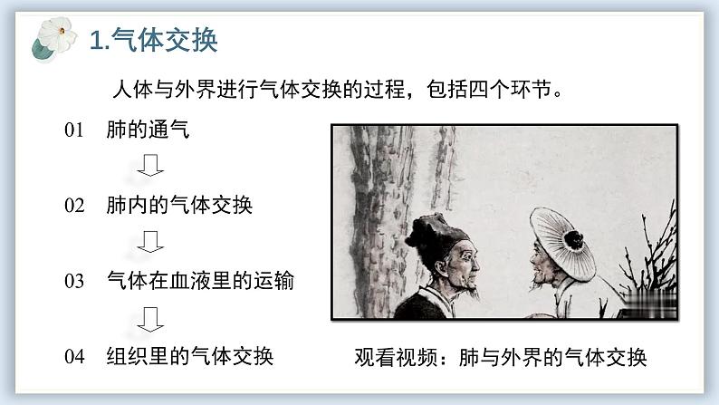 【核心素养目标】冀少版初中生物七年级下册《肺与外界的气体交换》课件第5页
