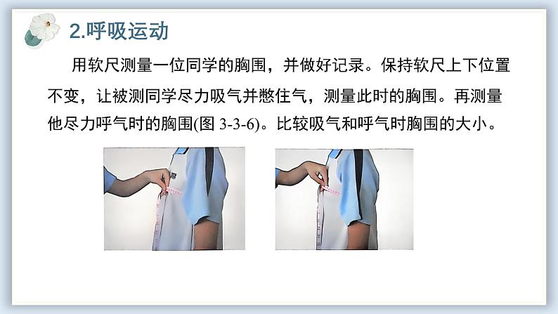 【核心素养目标】冀少版初中生物七年级下册《肺与外界的气体交换》课件第6页