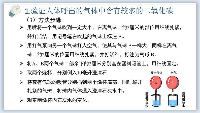 【核心素养目标】冀少版初中生物七年级下册《体内的气体交换》课件第6页
