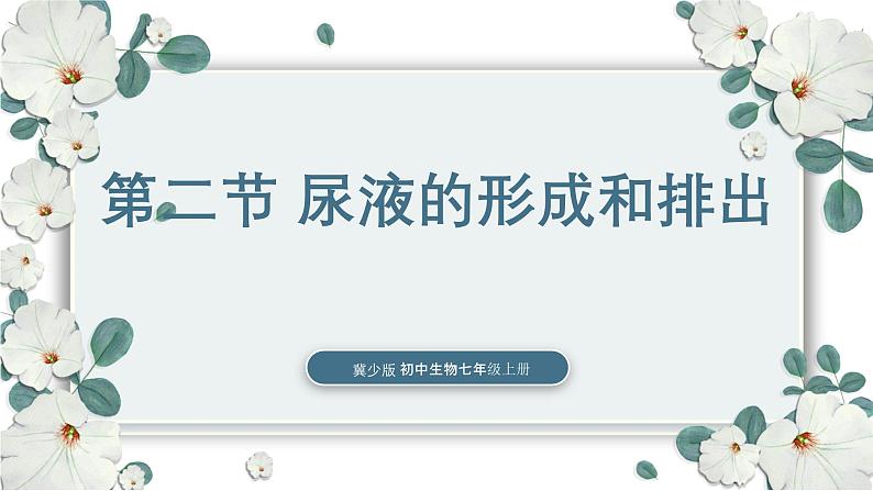 【核心素养目标】冀少版初中生物七年级下册《尿液的形成和排出》课件第1页