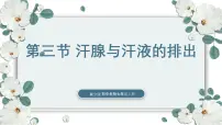 初中生物第三节 汗腺与汗液的排出完美版ppt课件