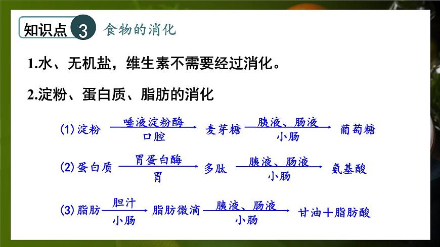 北師大版（2024）生物七年級(jí)下冊(cè)--第6章 人體的營(yíng)養(yǎng) 章末復(fù)習(xí)（課件）第7頁(yè)
