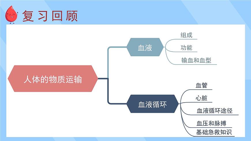 北師大版（2024）生物七年級下冊--第7章 人體的物質(zhì)運(yùn)輸 章末復(fù)習(xí)（課件）第2頁