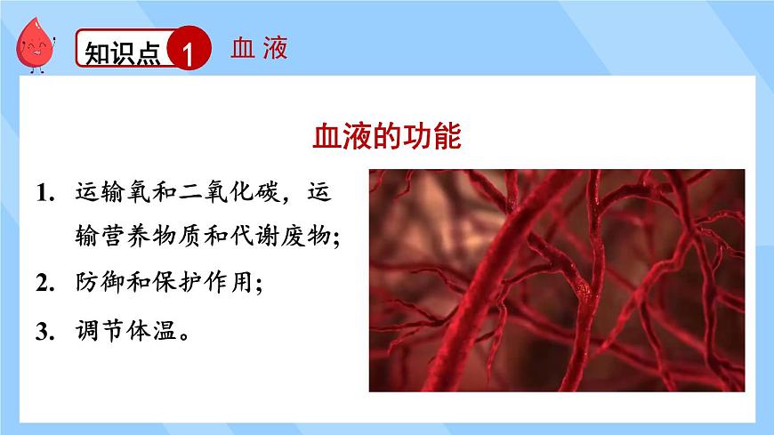 北師大版（2024）生物七年級下冊--第7章 人體的物質(zhì)運(yùn)輸 章末復(fù)習(xí)（課件）第5頁