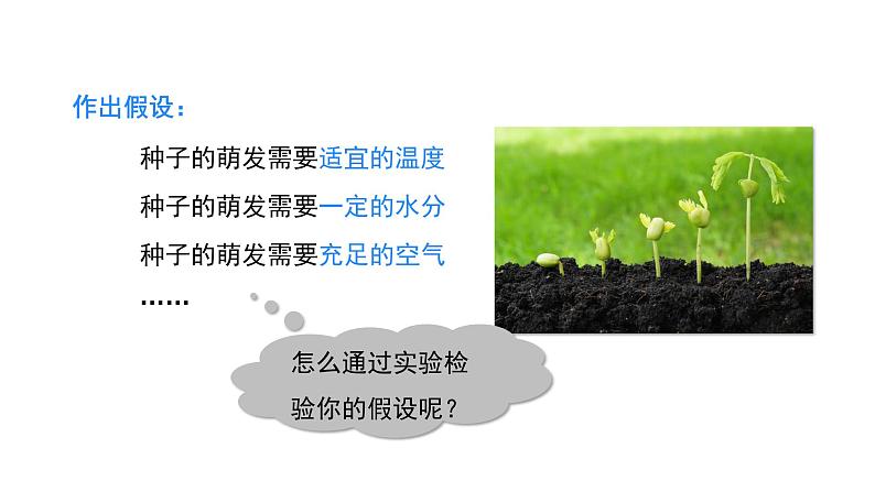 人教版(2024)生物七年级下册--3.1.1 种子的萌发(课件)第6页