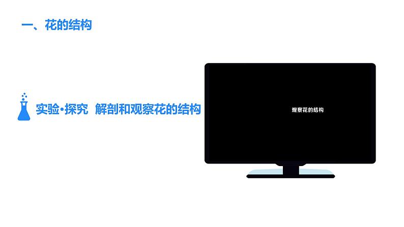 人教版(2024)生物七年级下册--3.1.3 开花和结果(课件)第5页