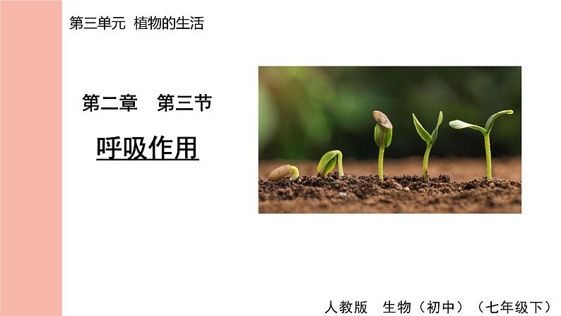 人教版(2024)生物七年级下册--3.2.3 呼吸作用(课件)第1页