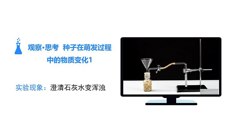 人教版(2024)生物七年级下册--3.2.3 呼吸作用(课件)第6页