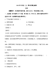 湖南省邵阳市邵阳县2023-2024学年七年级上学期期末 生物试题（含解析）