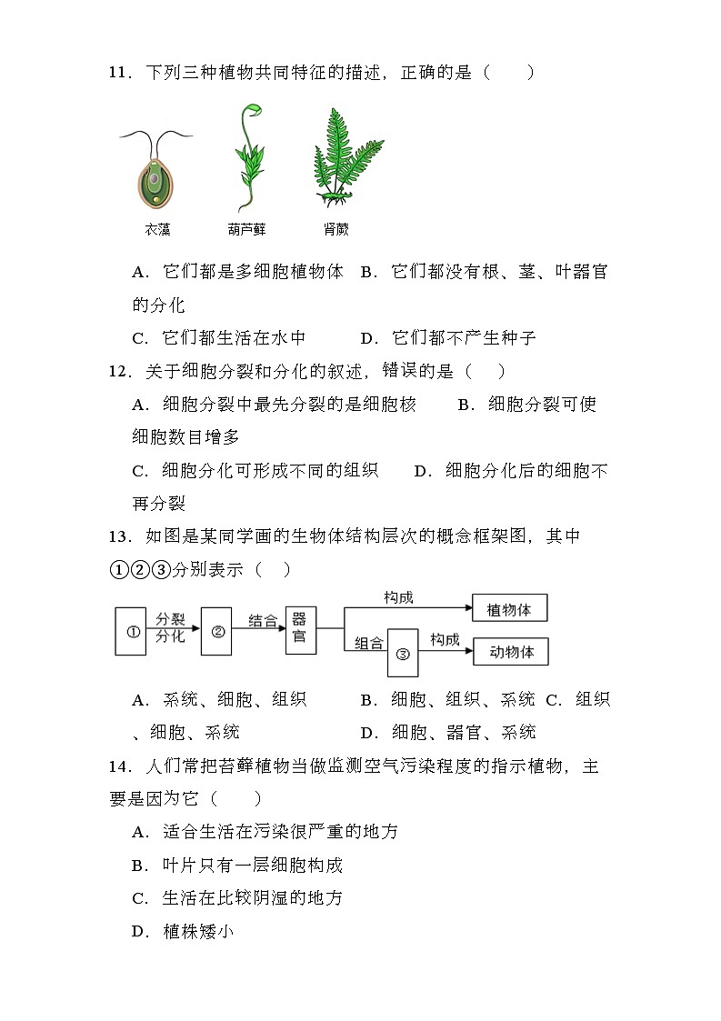 新疆吐鲁番市2023-2024学年七年级上学期期末 生物试题(含解析)第3页