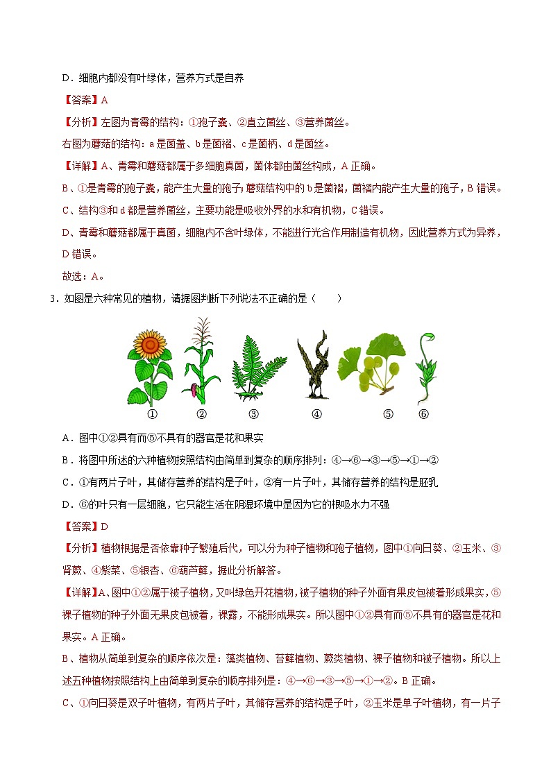 中考生物第二轮复习专题练习专题02 生物的多样性(测试)(解析版)第2页