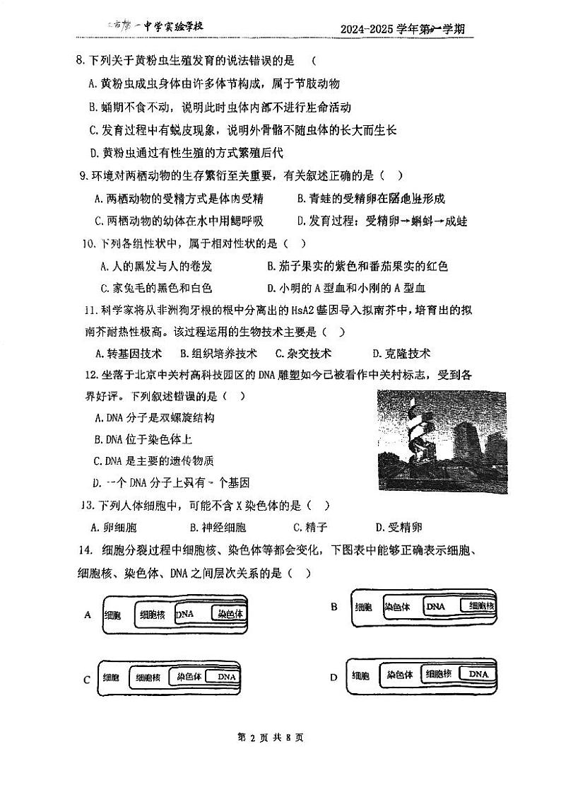 广东省阳江市第一中学实验学校2024-2025学年八年级上学期期末考试生物试题第2页