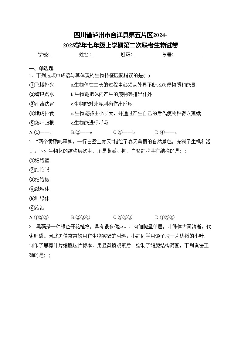 四川省泸州市合江县第五片区2024-2025学年七年级上学期第二次联考生物试卷(含答案)第1页