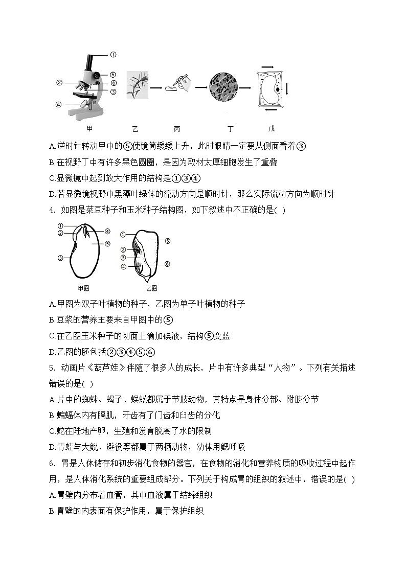 四川省泸州市合江县第五片区2024-2025学年七年级上学期第二次联考生物试卷(含答案)第2页