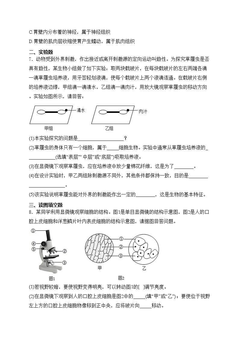 四川省泸州市合江县第五片区2024-2025学年七年级上学期第二次联考生物试卷(含答案)第3页