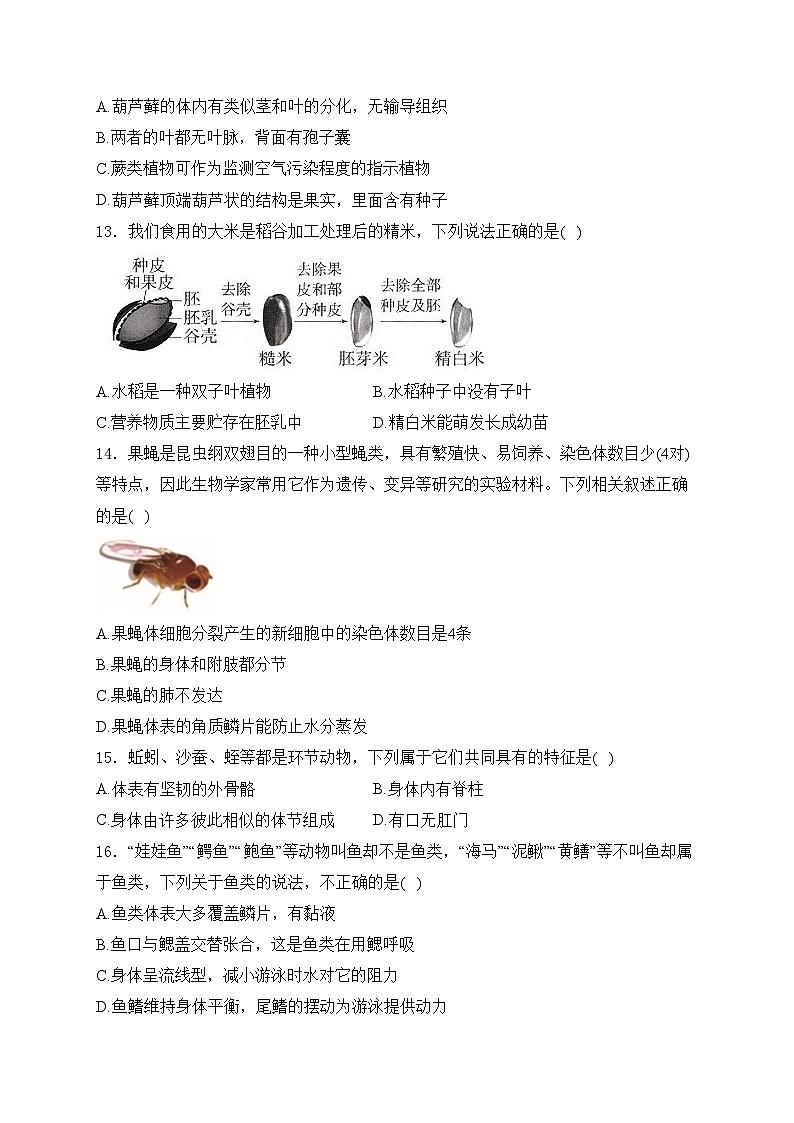 四川省绵阳市安州区2024-2025学年七年级上学期1月期末考试生物试卷(含答案)第3页