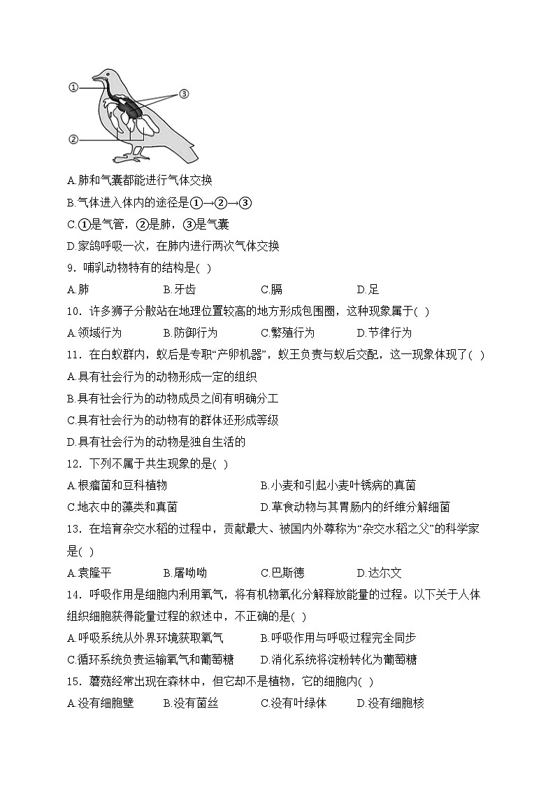 四川省绵阳市游仙区2024-2025学年八年级上学期1月期末考试生物试卷(含答案)第2页
