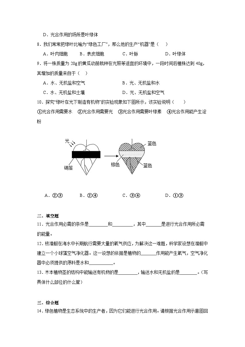 3.2.2《光合作用》课时练习第2页