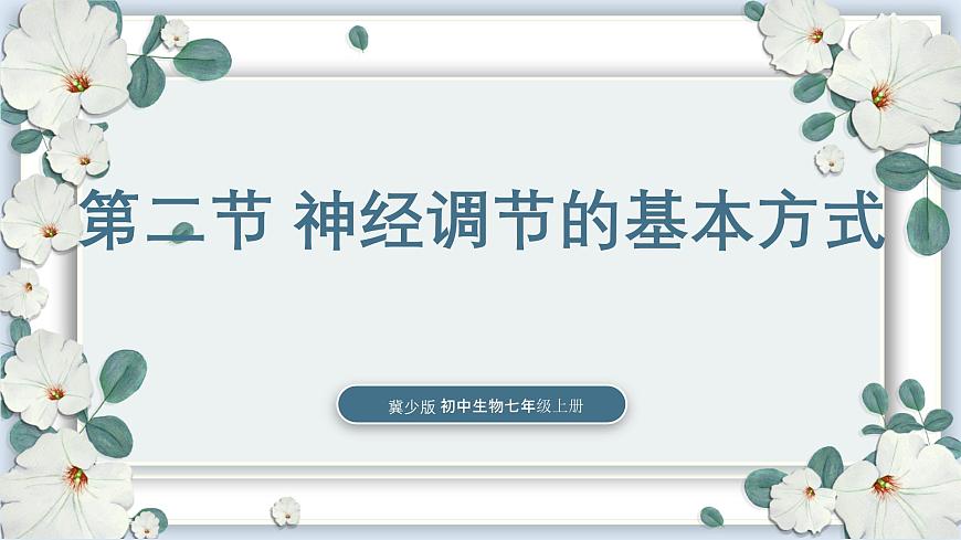 【核心素養(yǎng)目標(biāo)】冀少版初中生物七年級下冊第三單元第五章第二節(jié)《神經(jīng)調(diào)節(jié)的基本方式》課件第1頁