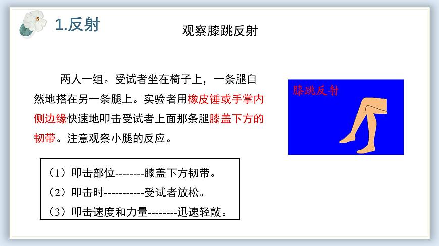 【核心素養(yǎng)目標(biāo)】冀少版初中生物七年級下冊第三單元第五章第二節(jié)《神經(jīng)調(diào)節(jié)的基本方式》課件第7頁