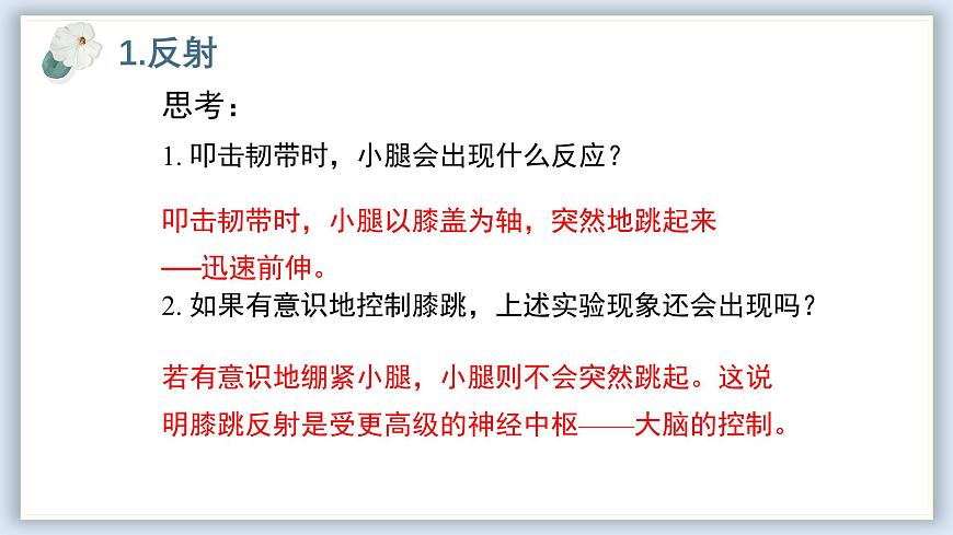 【核心素養(yǎng)目標(biāo)】冀少版初中生物七年級下冊第三單元第五章第二節(jié)《神經(jīng)調(diào)節(jié)的基本方式》課件第8頁